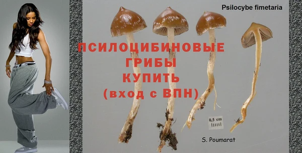 альфа пвп Белокуриха