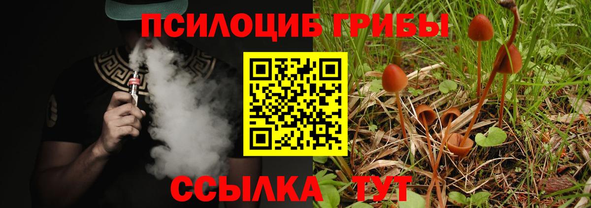  КОКАИН Гатчина