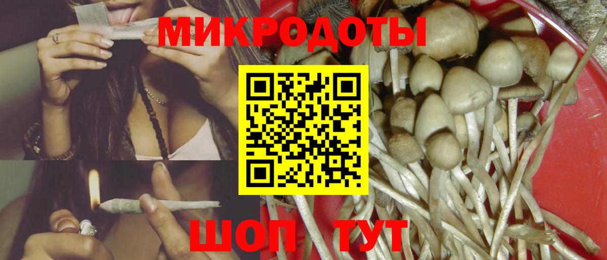 Псилоцибиновые грибы Psilocybe  Вход с VPN  сколько стоит  Гатчина 